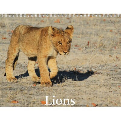 Lions 2027 Wall Calendar