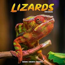 Lizards Calendar