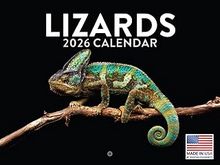 Lizards 2026 Calendar