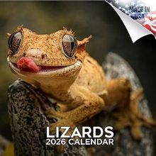 Lizards 2026 Calendar