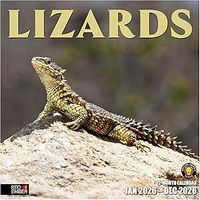 Lizards 2026 Wall Calendar