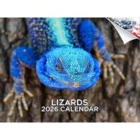 Lizards 2026 Wall Calendar