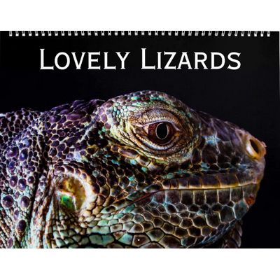 Lizards 2027 Wall Calendar