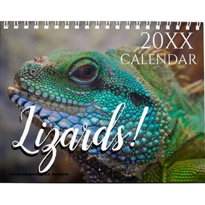Lizards 2027 Wall Calendar