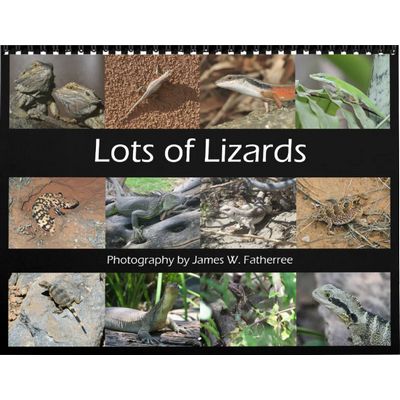 Lizards 2027 Wall Calendar