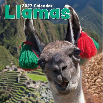 Llamas 2027 Wall Calendar