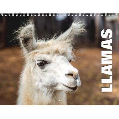Llamas 2027 Wall Calendar