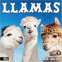 Llamas 2026 Wall Calendar