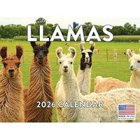 Llamas 2026 Wall Calendar