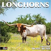Longhorns 2026 Wall Calendar