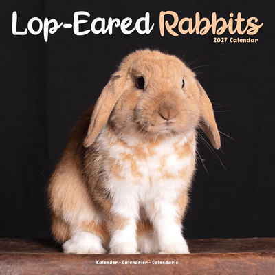  Lop Eared Rabbits 2027 Calendar