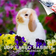 Lop-Eared Rabbits 2026 Calendar