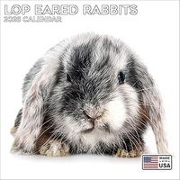 Lop-Eared Rabbits 2026 Calendar