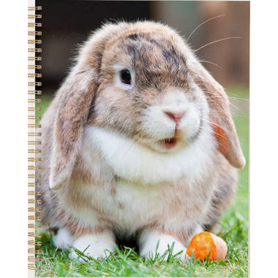 Lop-Eared Rabbits 2027 Planner