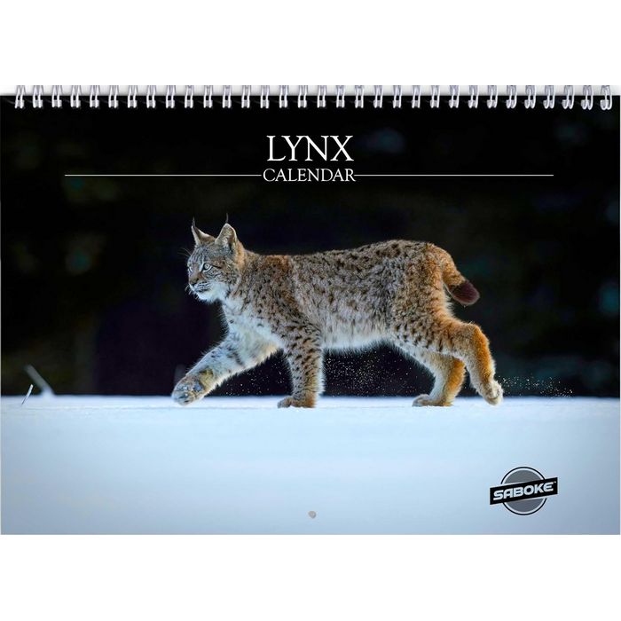 Lynx 2026 Wall Calendar