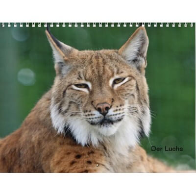 Lynx 2027 Wall Calendar