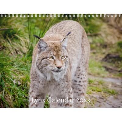 Lynx 2027 Calendar