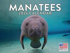 Manatees 2026 Calendar