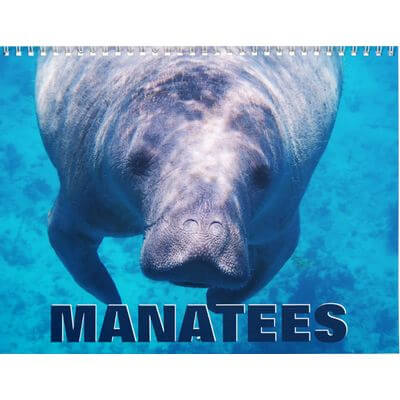 Manatees 2027 Wall Calendar