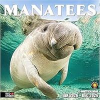 Manatees 2026 Wall Calendar