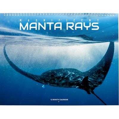 Manta Rays 2027 Wall Calendar
