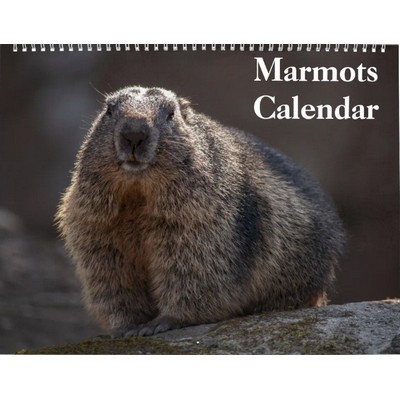 Marmots 2027 Wall Calendar