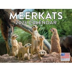 Meerkats 2026 Calendar