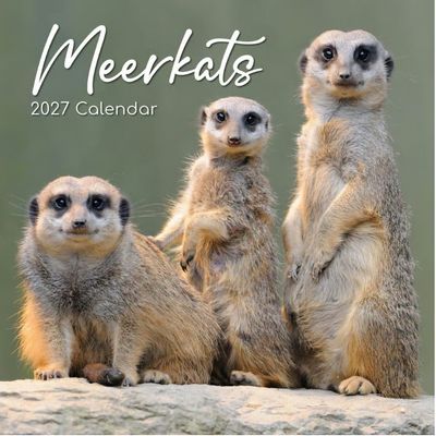 Meerkats 2027 Calendar