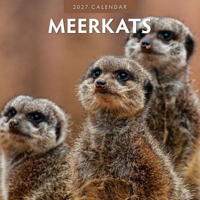 Meerkats 2027 Calendar
