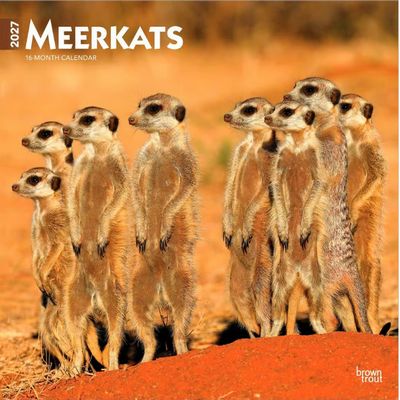 Meerkats 2027 Calendar