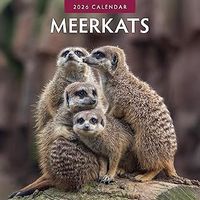 Meerkats 2026 Calendar