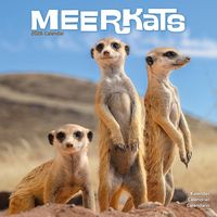 Meerkats 2026 Calendar