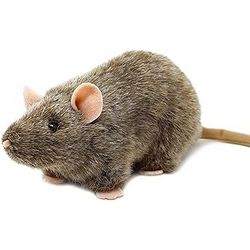 Reuben The Rat - 7 Inch Stuffed Animal Plush Mouse