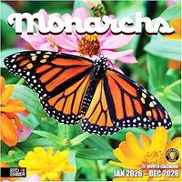 Monarchs 2026 Wall Calendar
