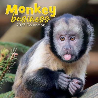 Monkey Business 2027 Calendar