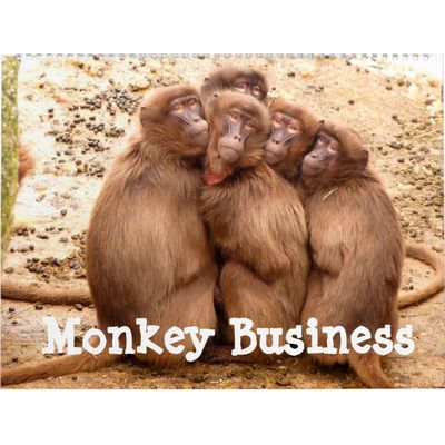 Monkey Business 2027 Calendar