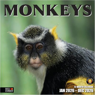 Monkeys 2026 Calendar