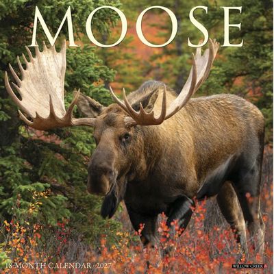 Moose 2027 Wall Calendar