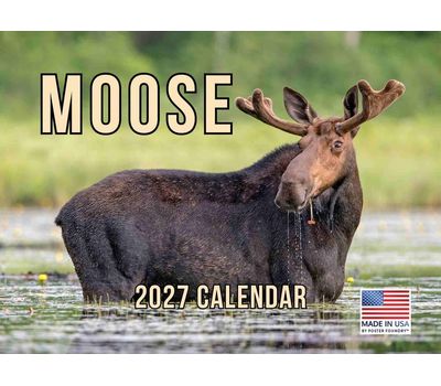 Moose 2027 Wall Calendar