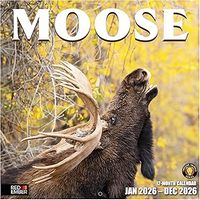Moose 2026 Wall Calendar