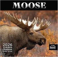 Moose 2026 Wall Calendar
