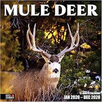 Mule Deer 2026 Wall Calendar