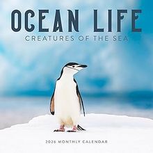 Ocean Life 2026 Calendar