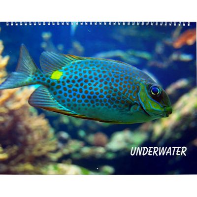 Underwater 2027 Wall Calendar