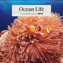 Ocean Life 2026 Calendar