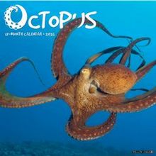 Octopus 2026 Calendar