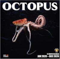 Octopus 2026 Calendar