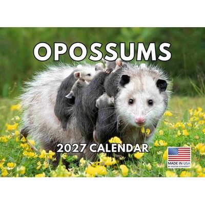 Opossums 2027 Wall Calendar