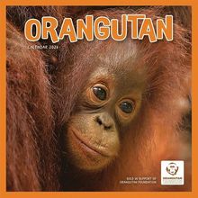 Orangutans Calendar