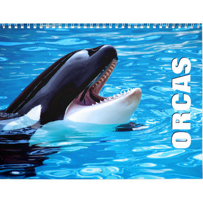 Orcas 2027 Wall Calendars